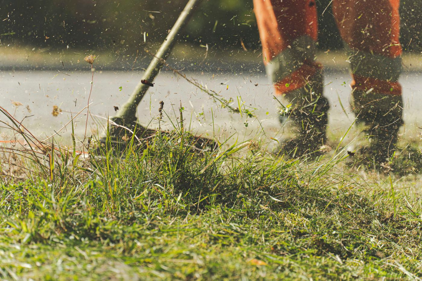 A person pushing a lawn mower across a sunny garden.